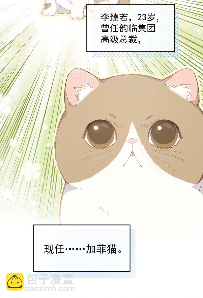 001 充满智慧的小猫咪(1/2)-第1话