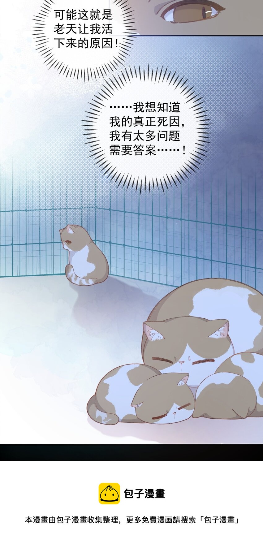 001 充满智慧的小猫咪(1/2)-第1话