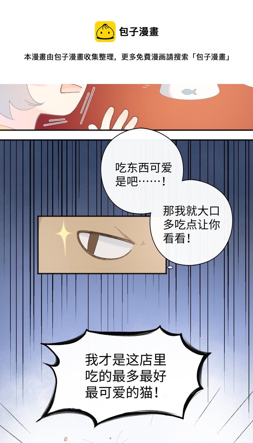 001 充满智慧的小猫咪(1/2)-第1话