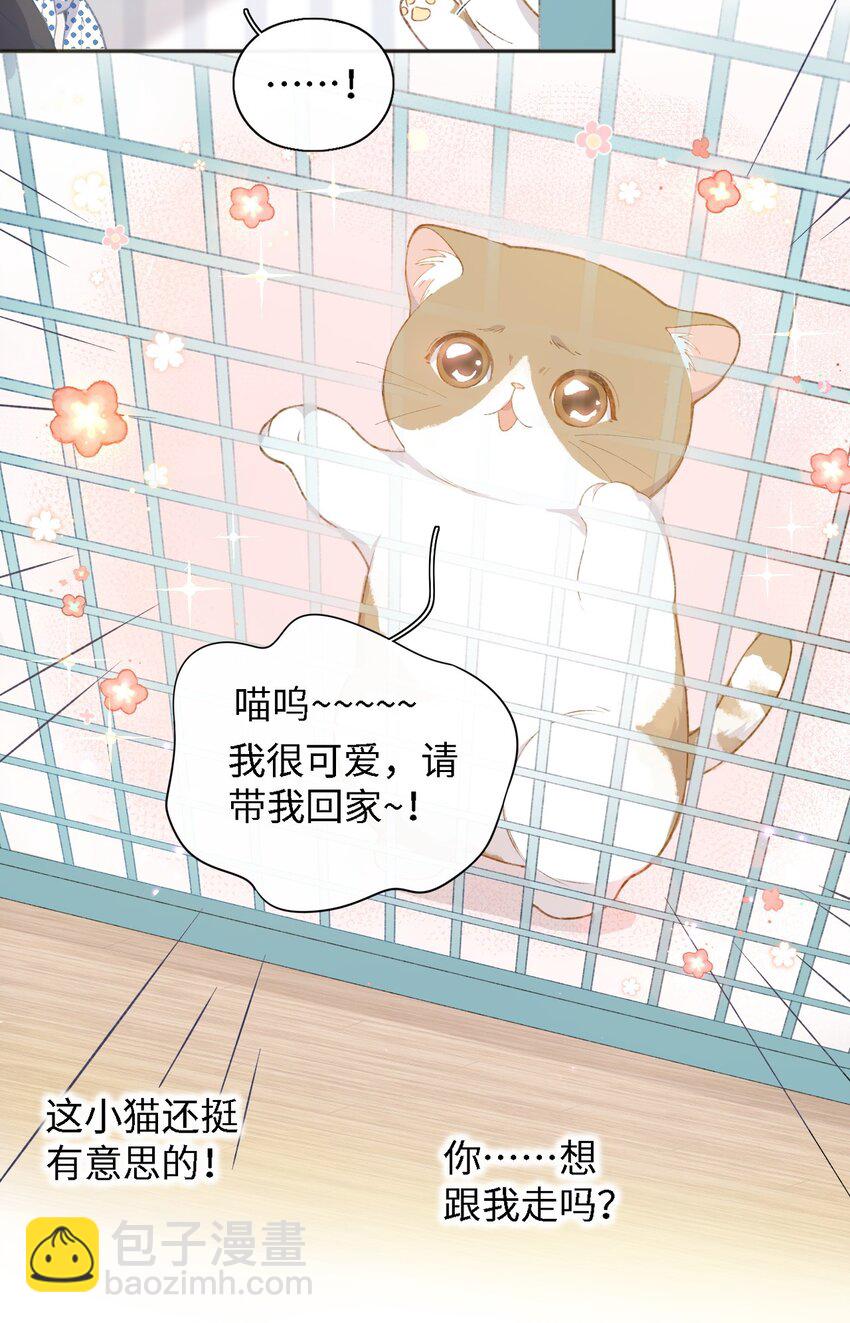 001 充满智慧的小猫咪(1/2)-第1话