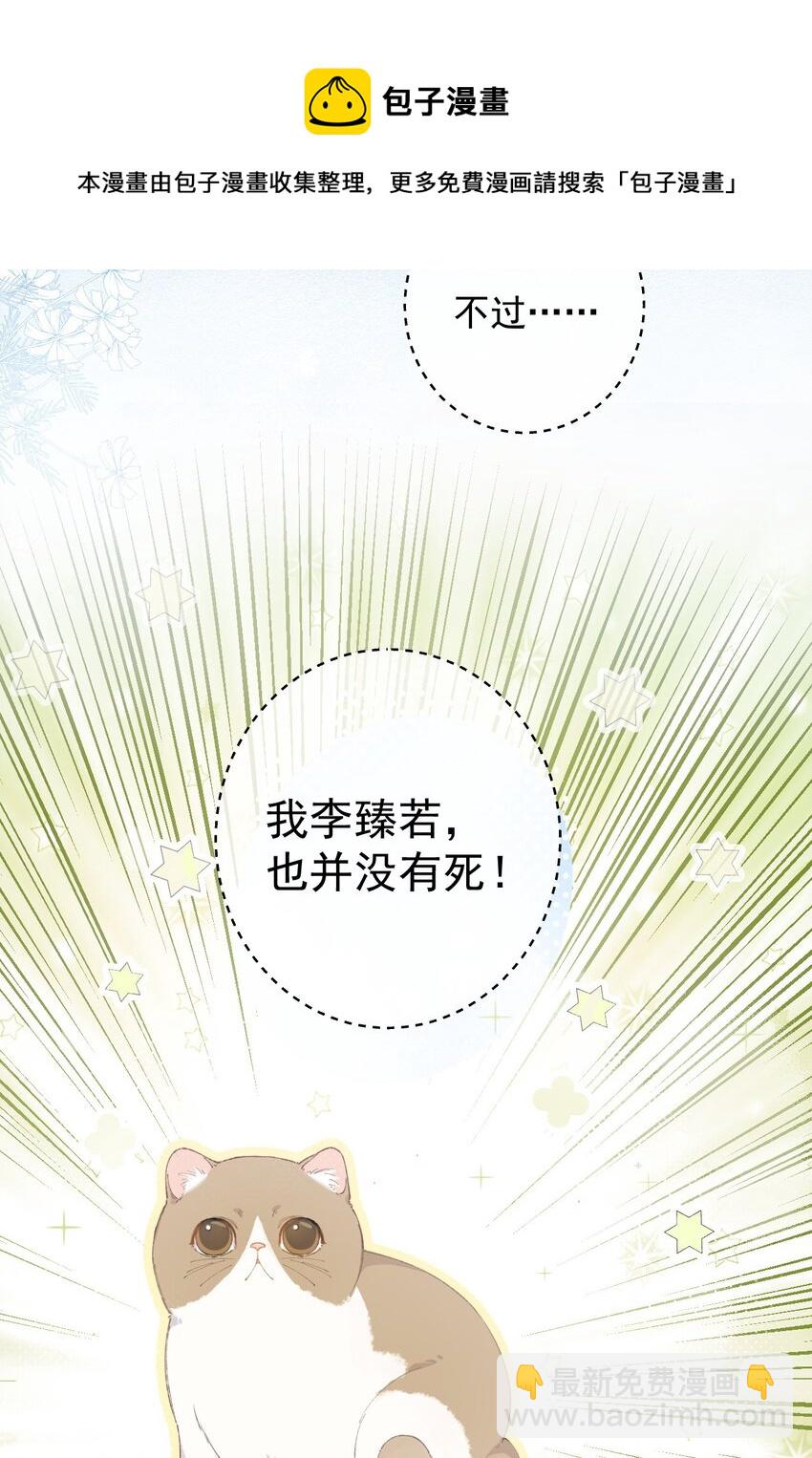 001 充满智慧的小猫咪(1/2)-第1话