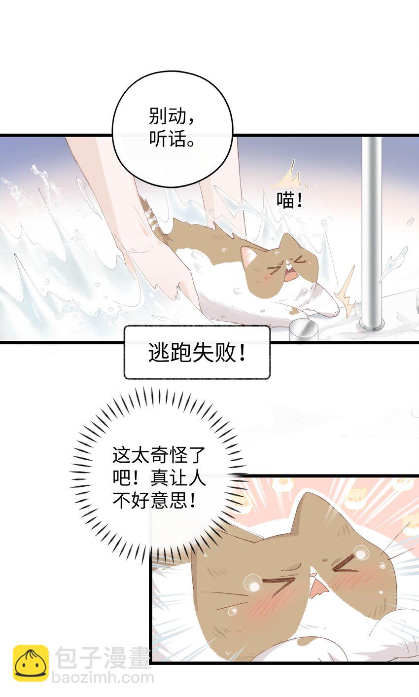 011 猛  男  盘  蛋(1/2)-第11话