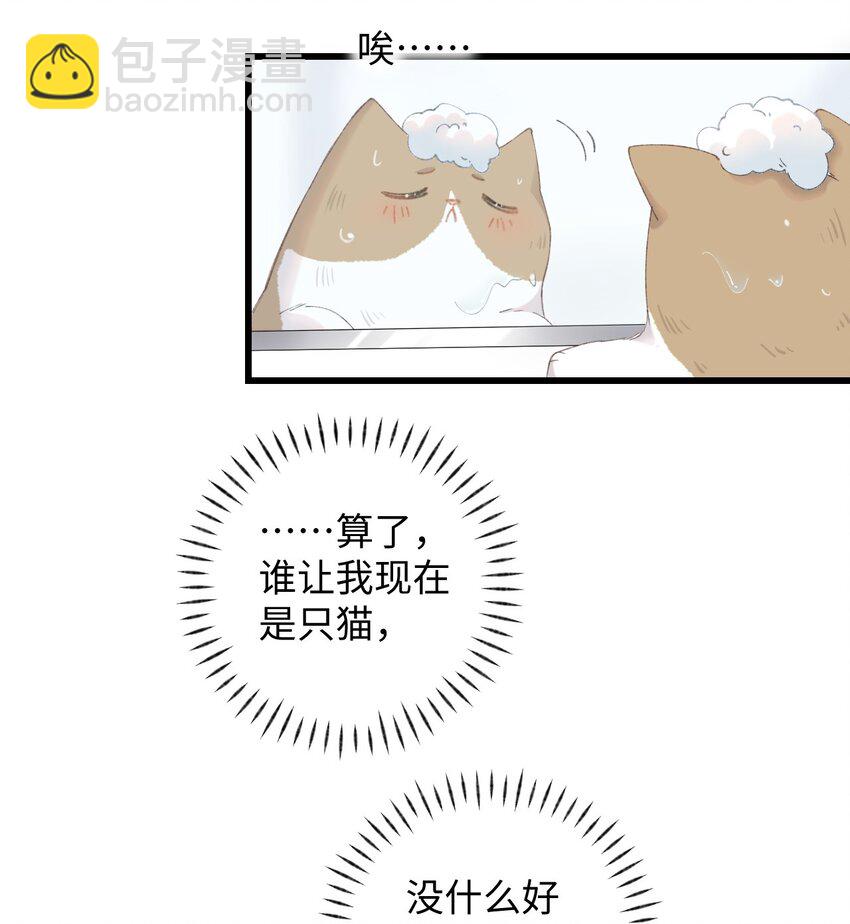 011 猛  男  盘  蛋(1/2)-第11话