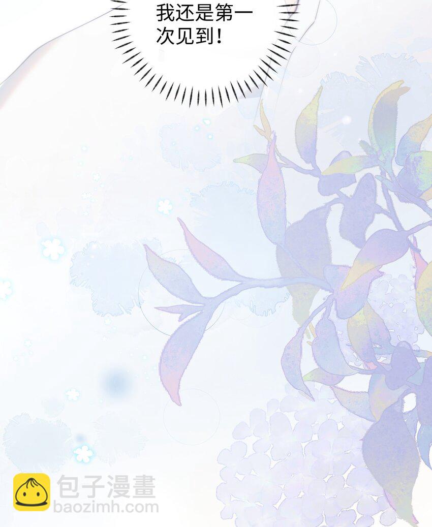 011 猛  男  盘  蛋(1/2)-第11话