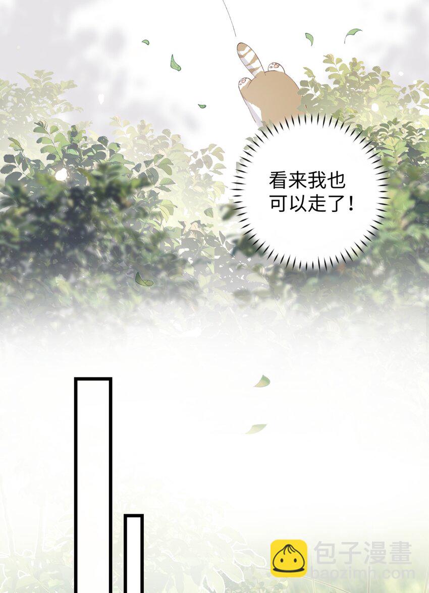 015 原则喂了小鱼干-第15话