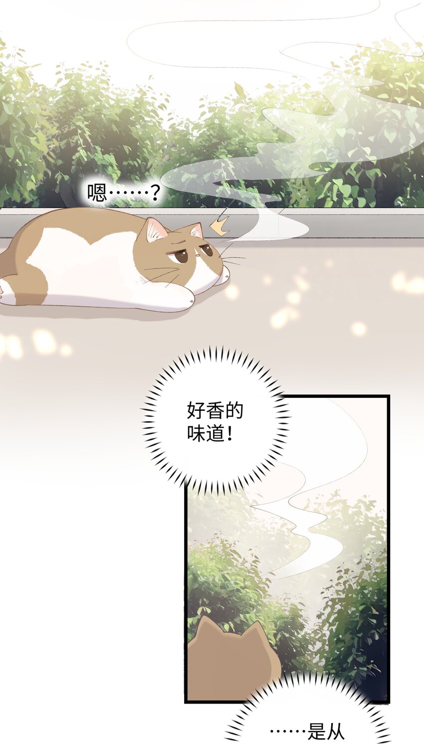 015 原则喂了小鱼干-第15话