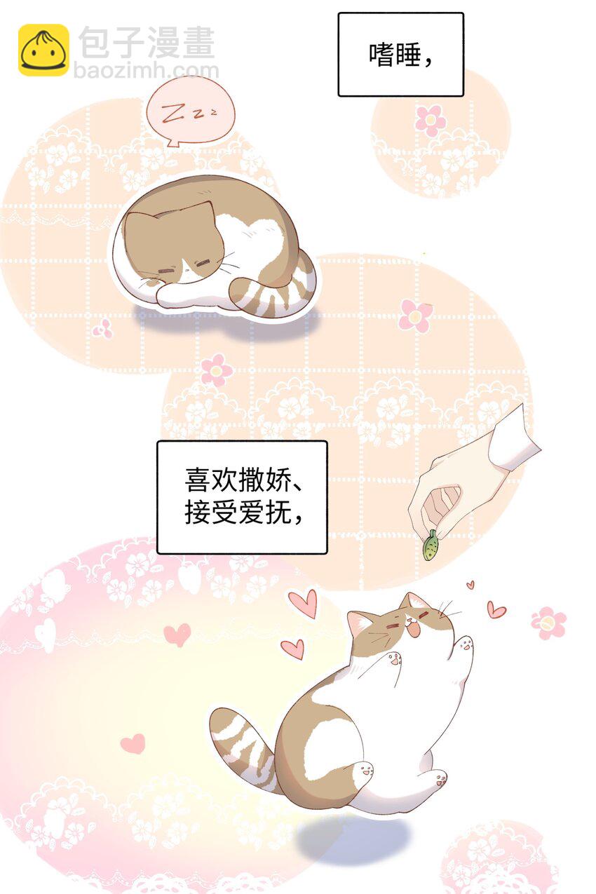 017 李&middot;福尔摩斯&middot;机智&middot;团儿-第17话