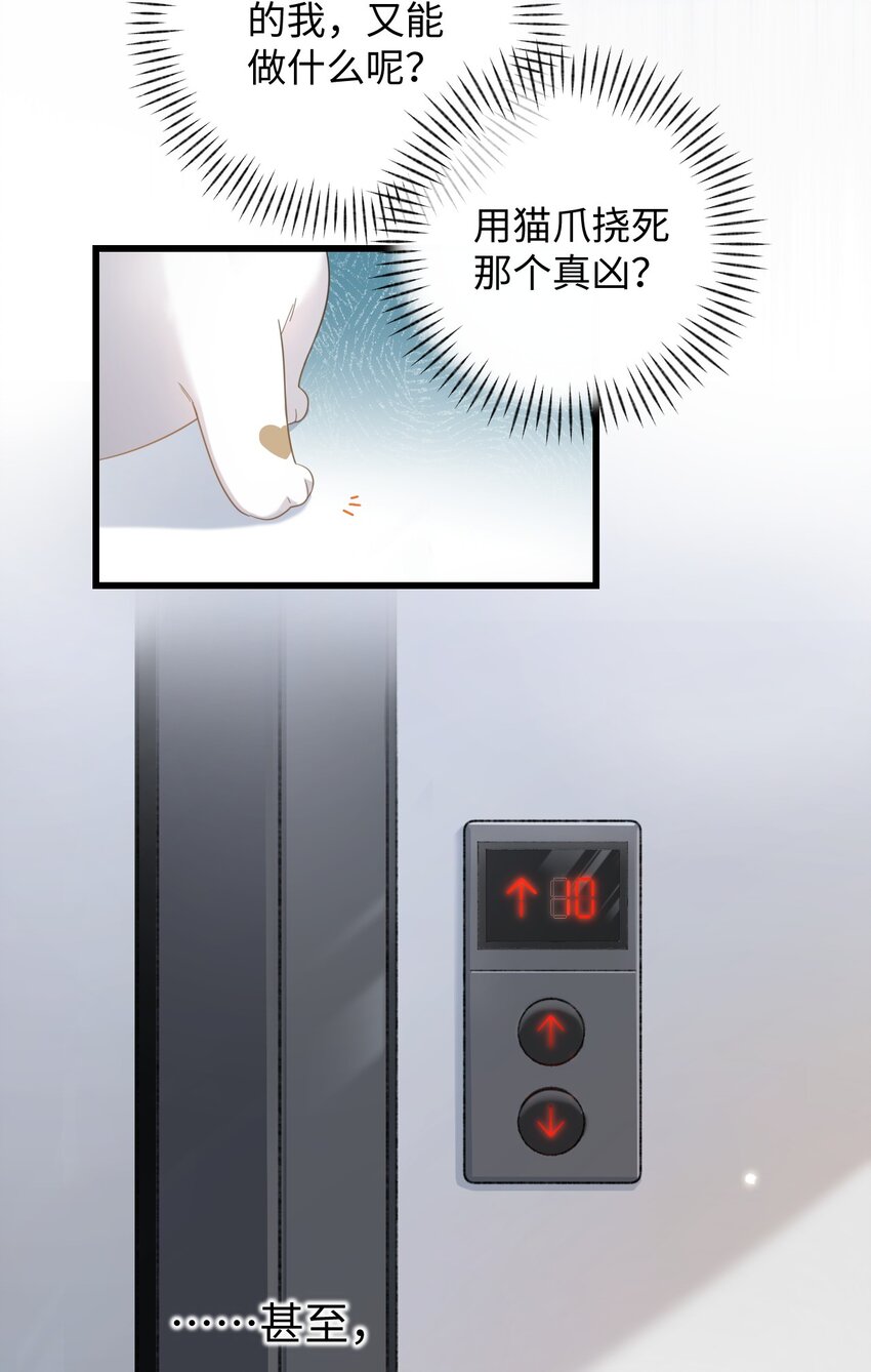 加菲貓復仇記 - 003 只是因爲在電梯門口多看你一眼 ♪(1/2) - 2