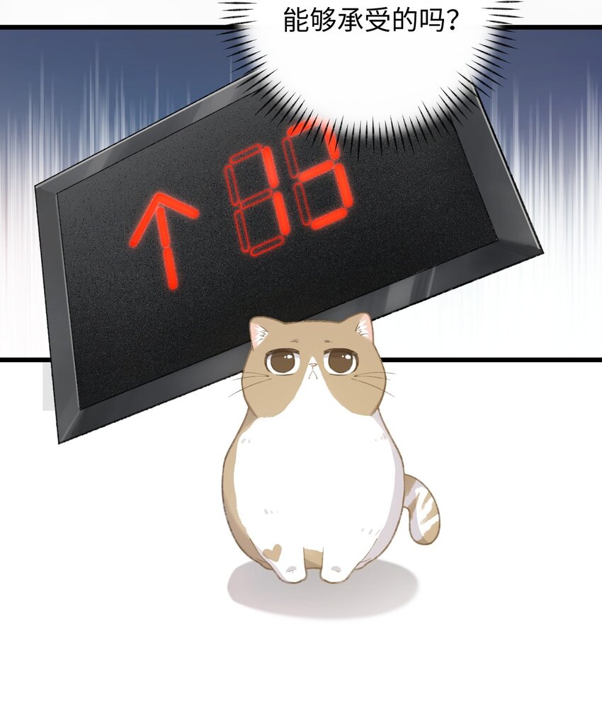 003 只是因为在电梯门口多看你一眼 ♪(1/2)-第3话