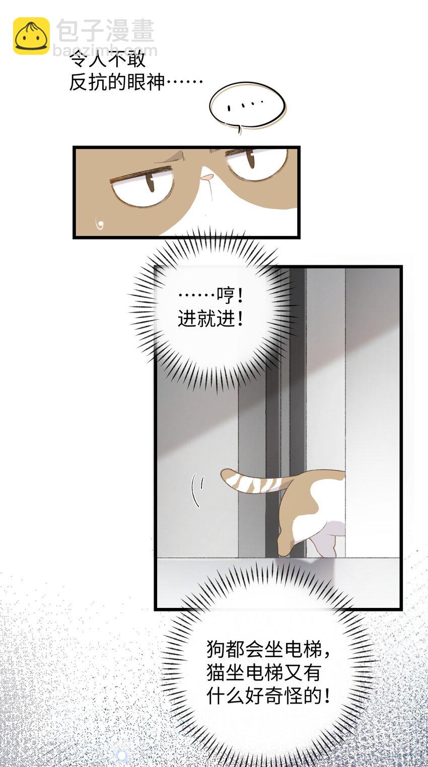 003 只是因为在电梯门口多看你一眼 ♪(1/2)-第3话