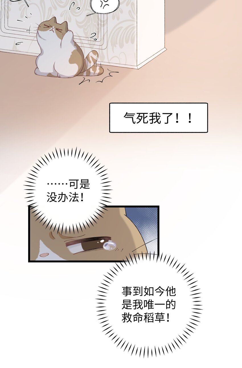 021 看看我鸭！-第21话