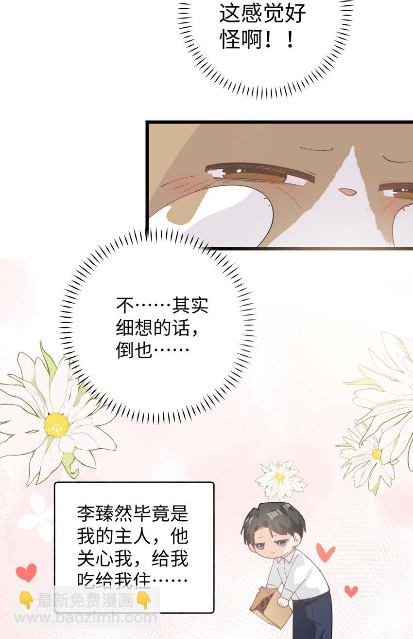 027 喵与人的信任一文不值！！！【震声】-第27话