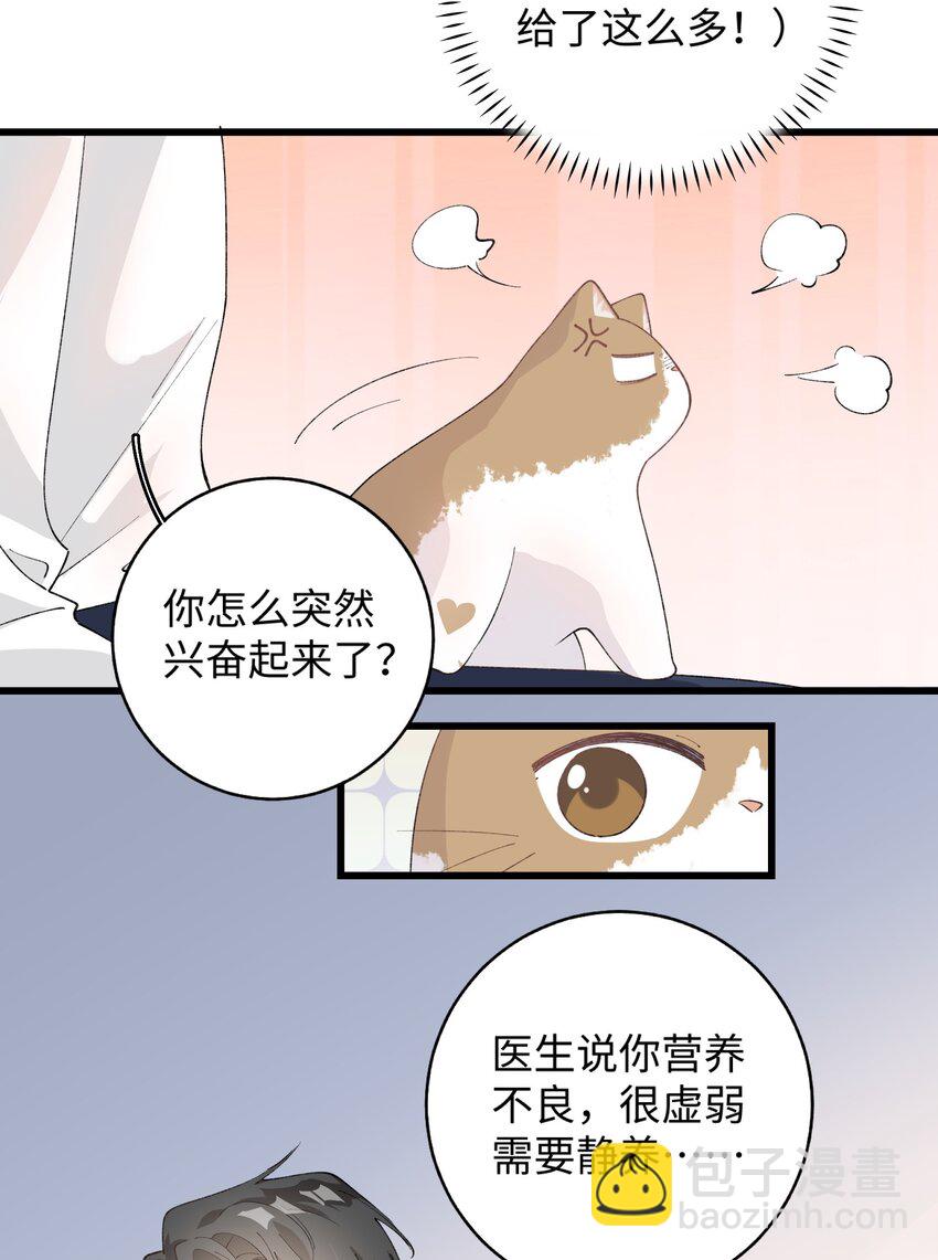 027 喵与人的信任一文不值！！！【震声】-第27话