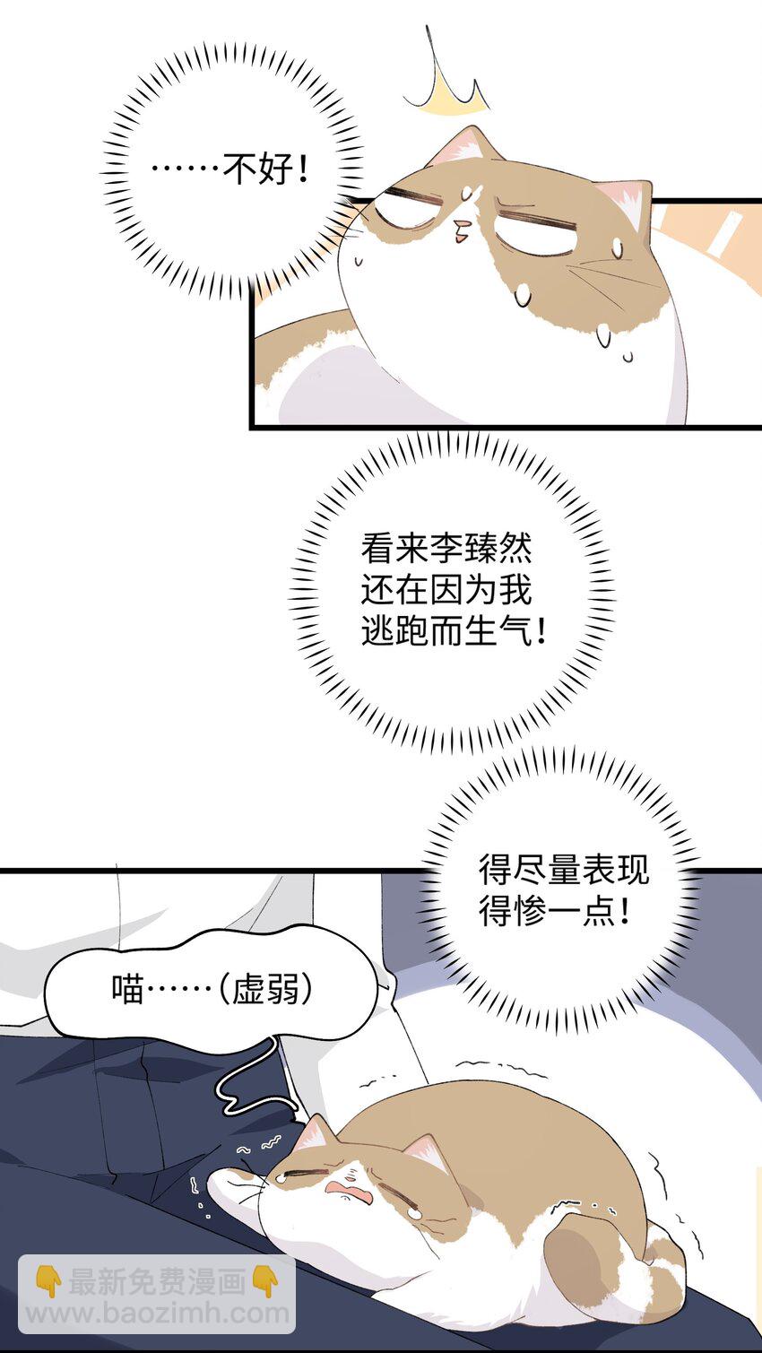 027 喵与人的信任一文不值！！！【震声】-第27话