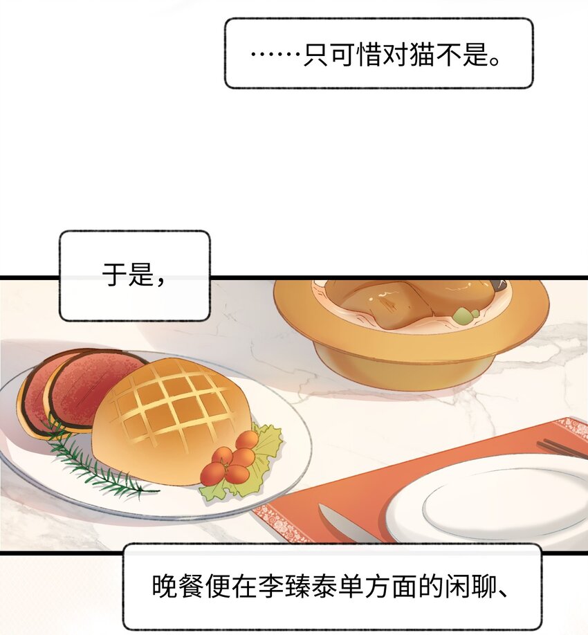 005 猫猫回家乐-第5话