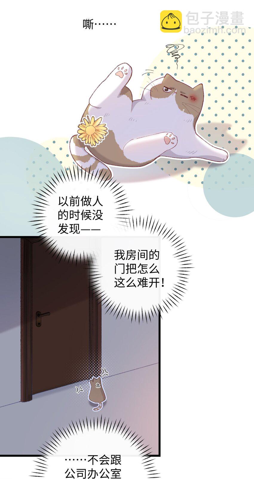 005 猫猫回家乐-第5话