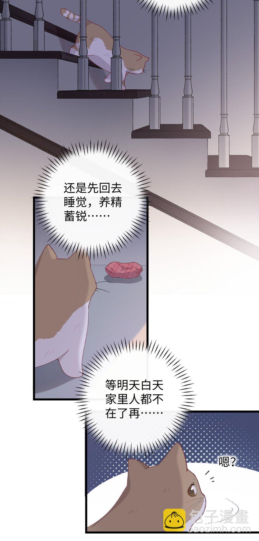 005 猫猫回家乐-第5话