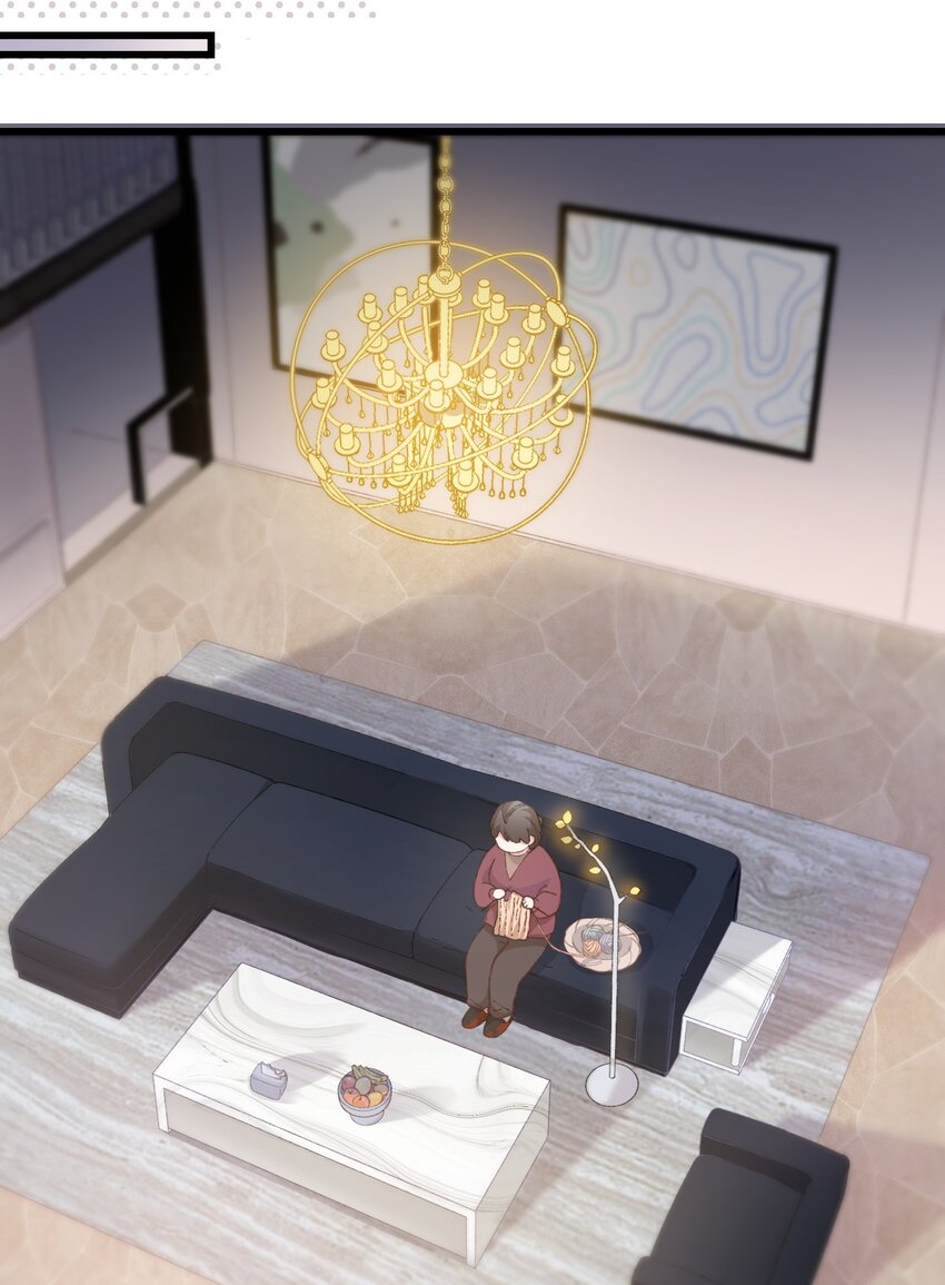 005 猫猫回家乐-第5话