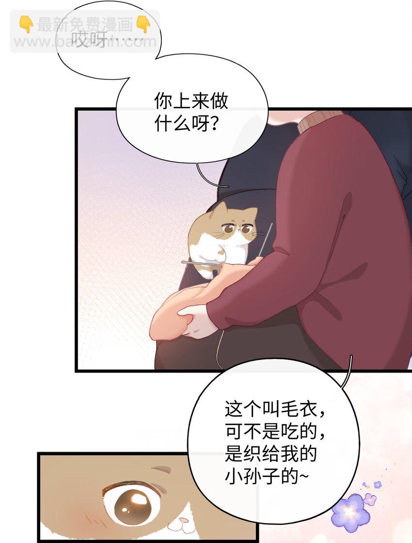 005 猫猫回家乐-第5话