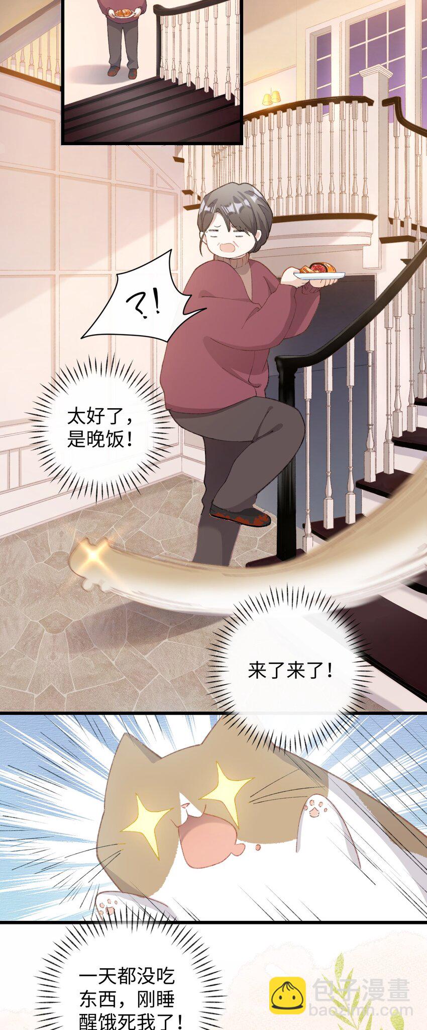 005 猫猫回家乐-第5话