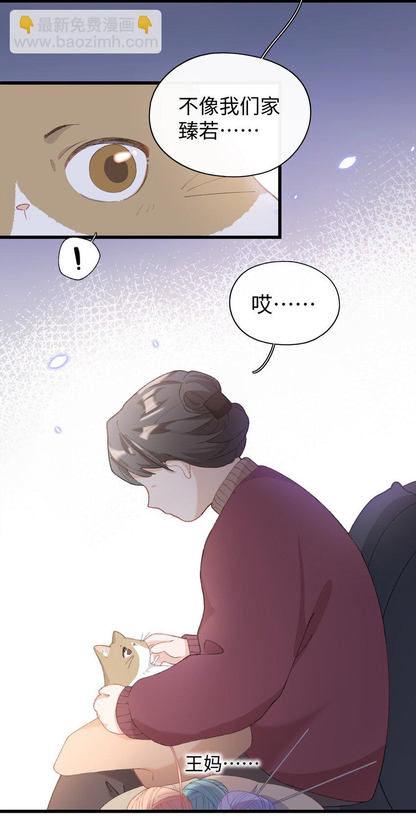 005 猫猫回家乐-第5话