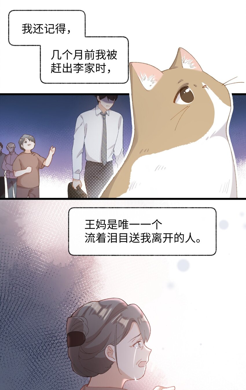 005 猫猫回家乐-第5话