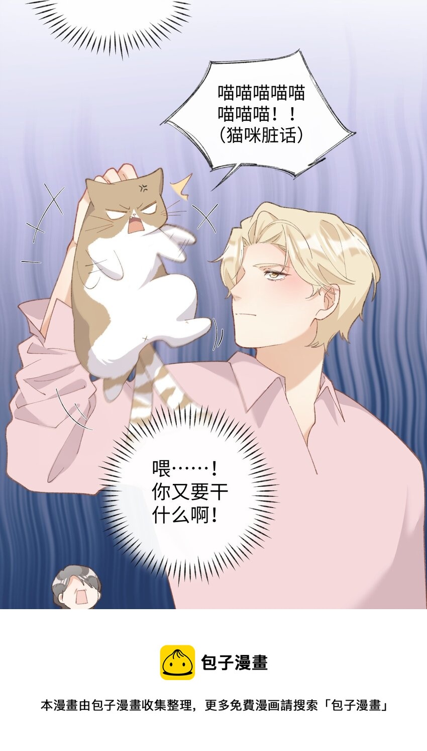 005 猫猫回家乐-第5话