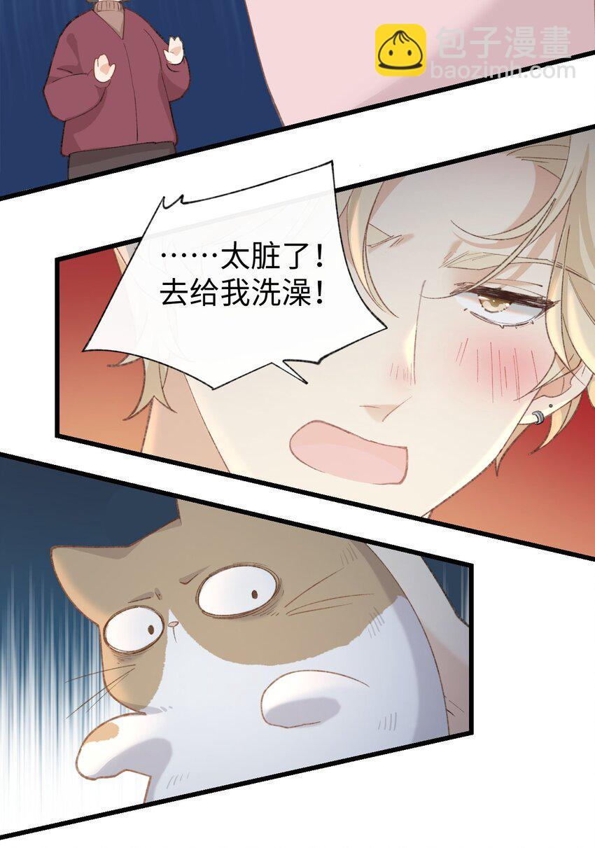 005 猫猫回家乐-第5话