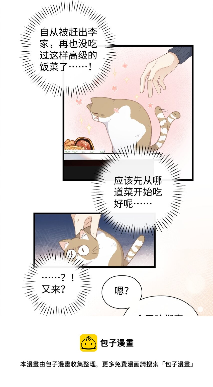 005 猫猫回家乐-第5话