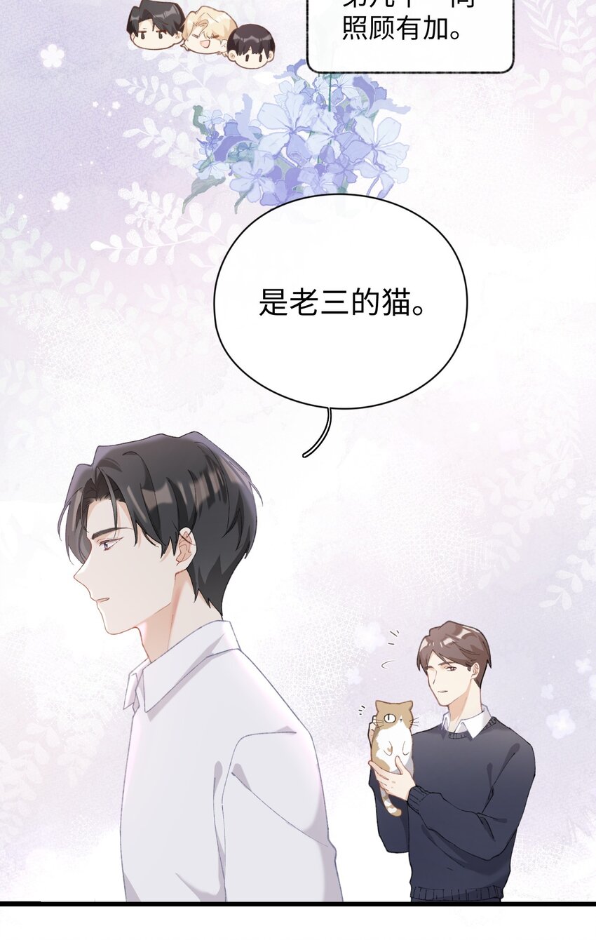 005 猫猫回家乐-第5话