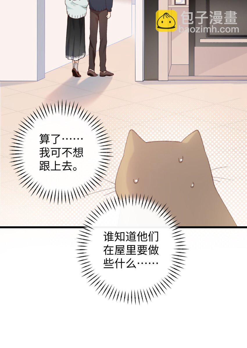 009 猫猫翻大车(1/2)-第9话