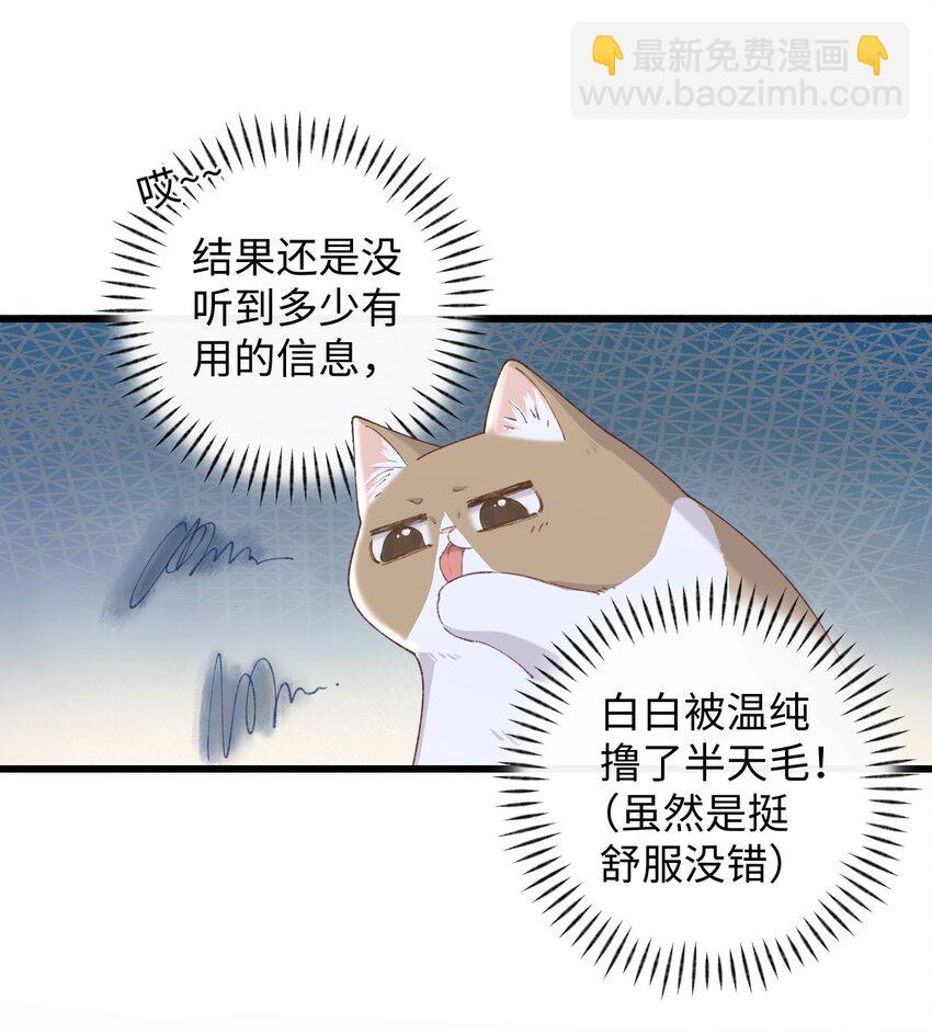 009 猫猫翻大车(1/2)-第9话