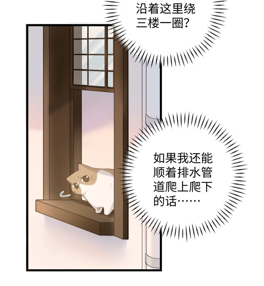 加菲猫复仇记 - 009 猫猫翻大车(1/2) - 3