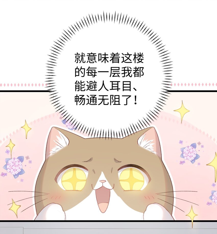 009 猫猫翻大车(1/2)-第9话