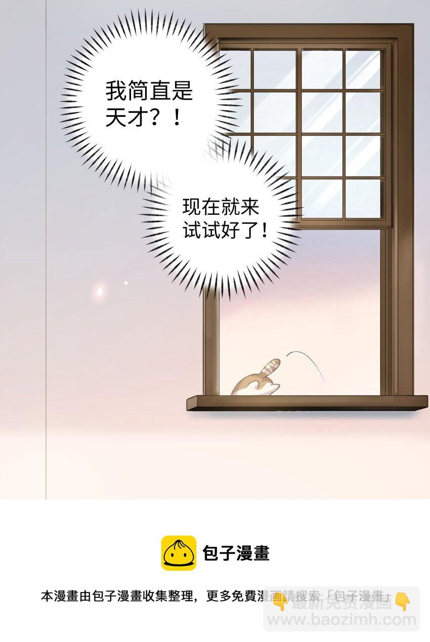 009 猫猫翻大车(1/2)-第9话