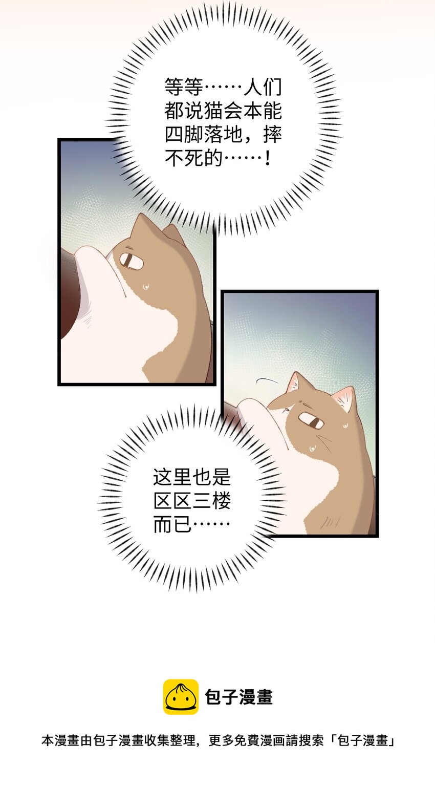 加菲猫复仇记 - 009 猫猫翻大车(1/2) - 5