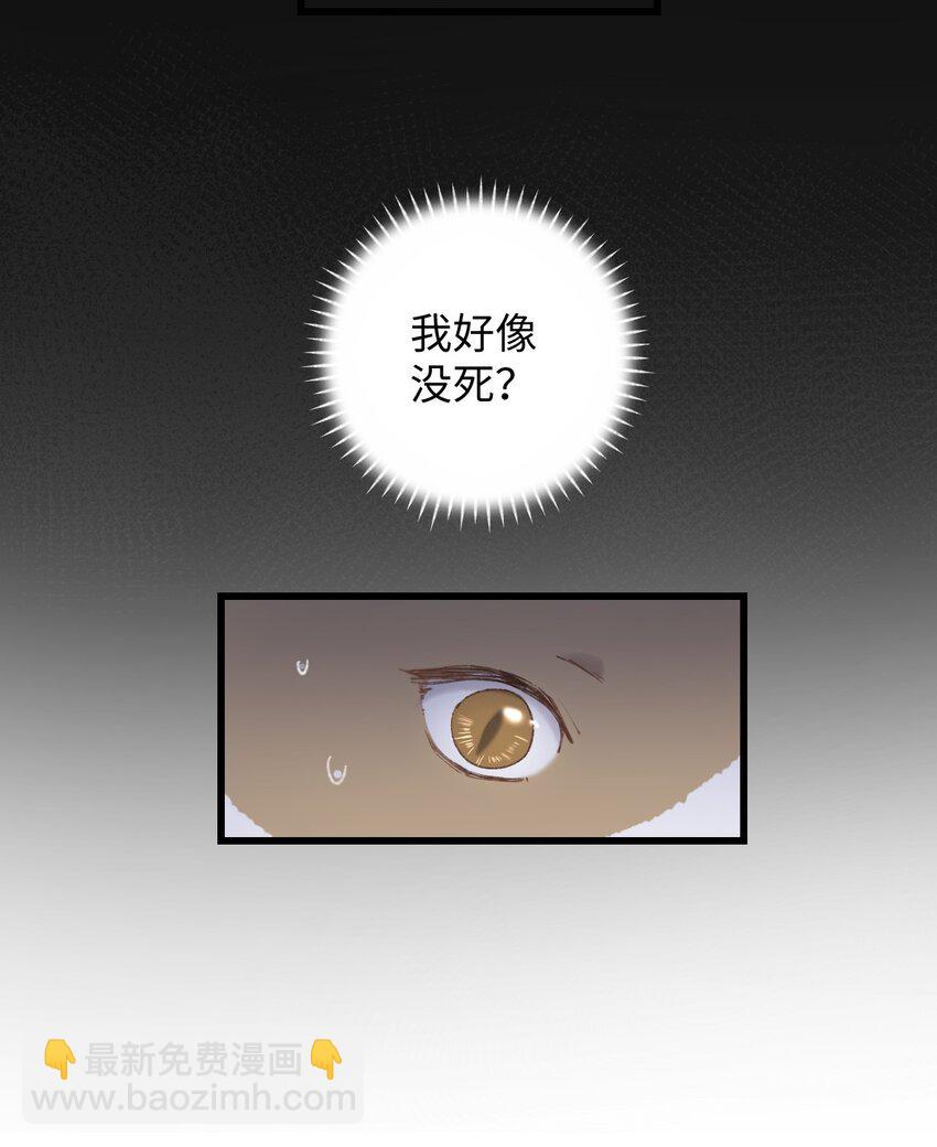 009 猫猫翻大车(1/2)-第9话