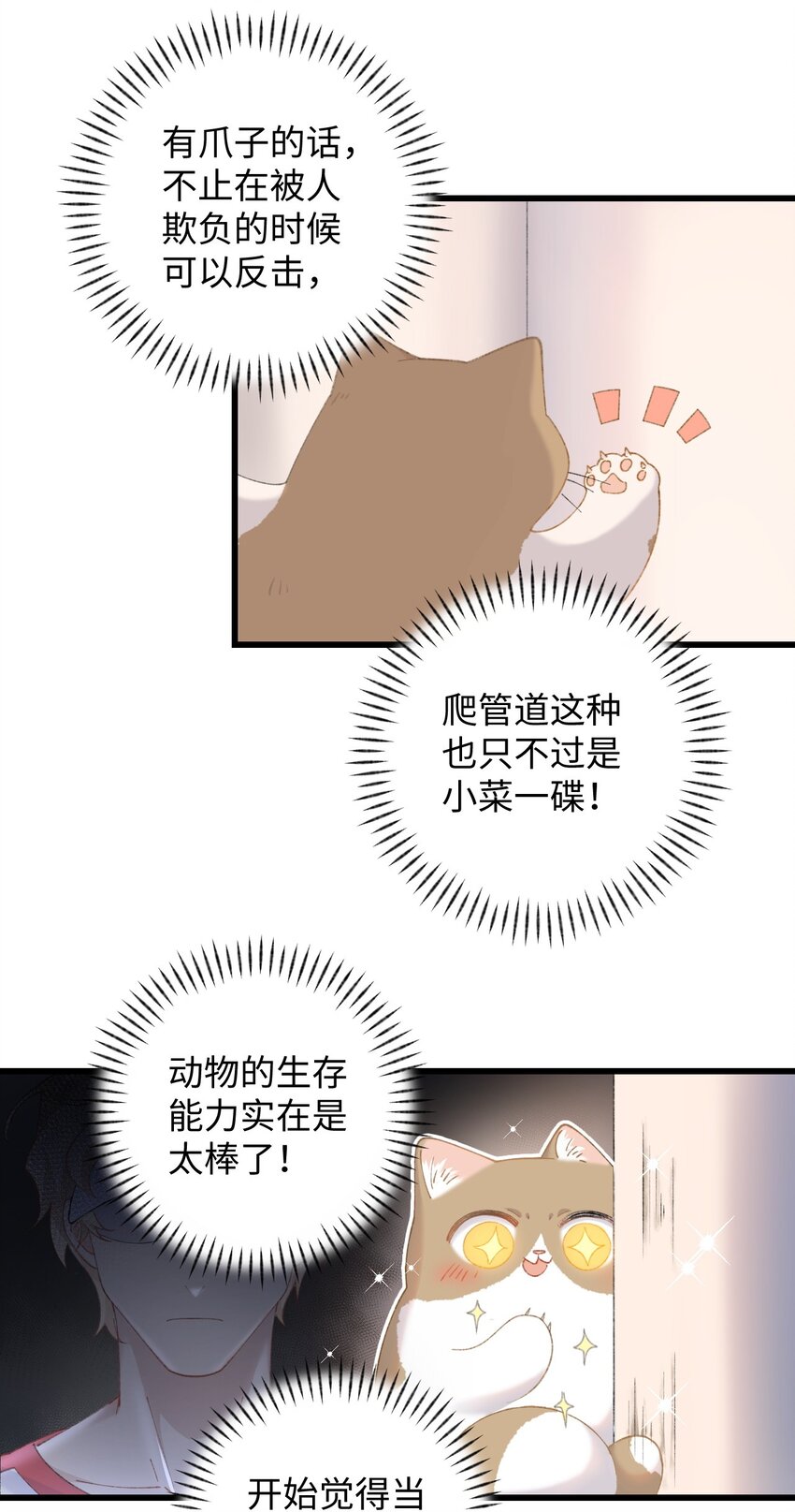 009 猫猫翻大车(1/2)-第9话