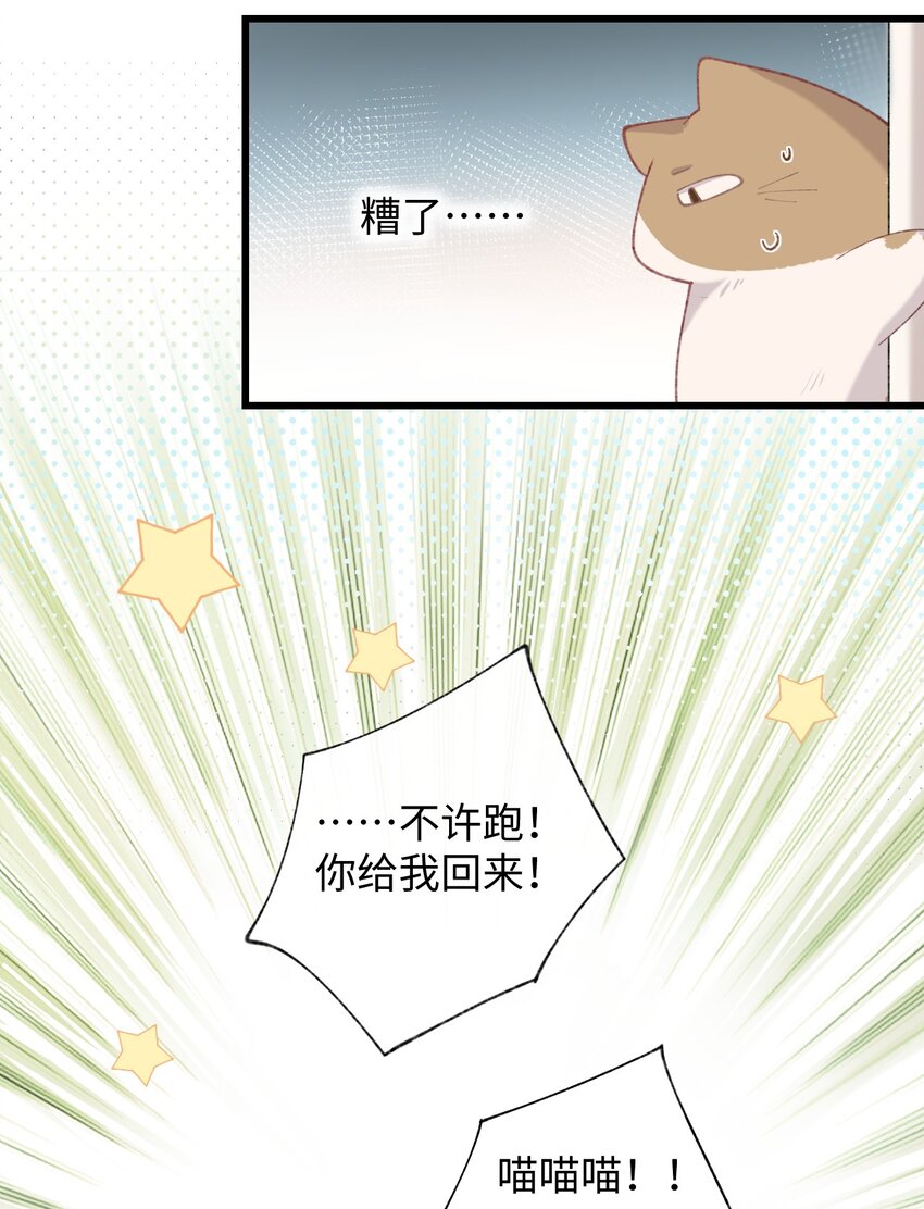 009 猫猫翻大车(1/2)-第9话