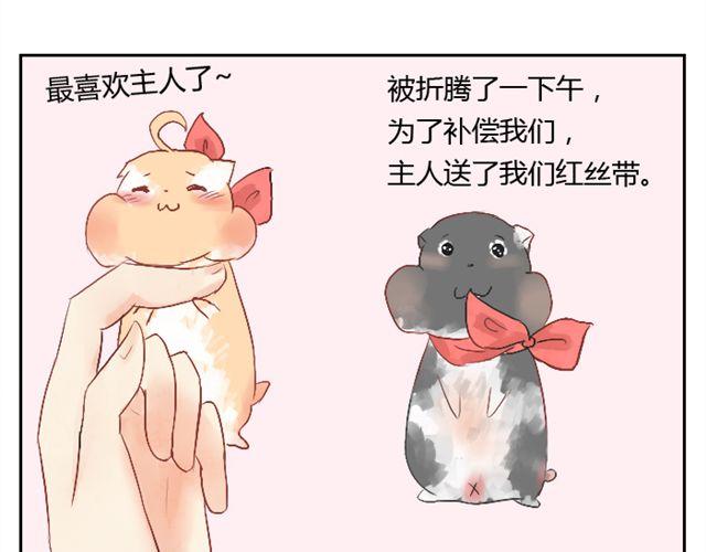 第3话 会为了宝宝努力的-第3话