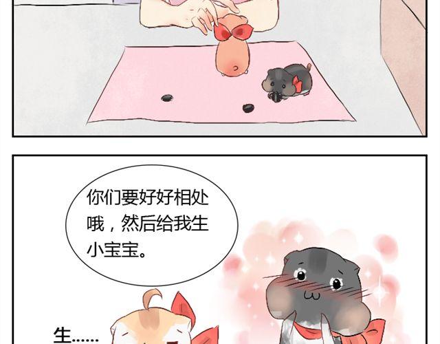 第3话 会为了宝宝努力的-第3话