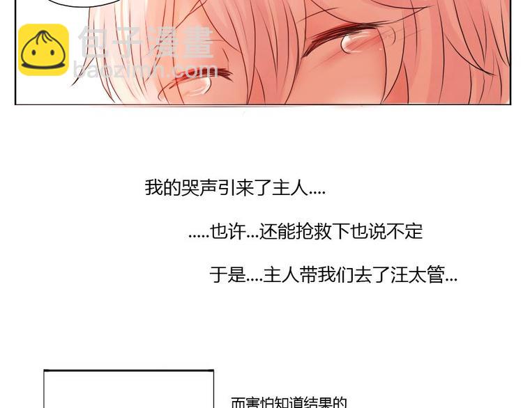 第33话 他很幸福-第33话