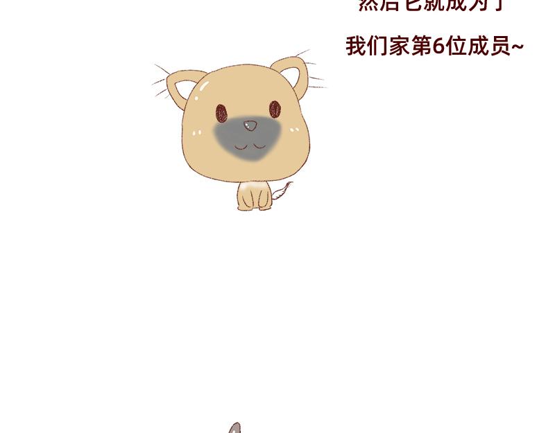 加零的漫畫日記 - 雙11我家來了條單身狗 - 5