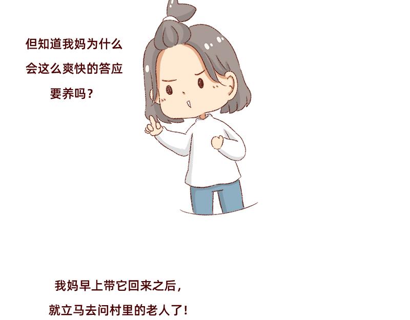 加零的漫畫日記 - 雙11我家來了條單身狗 - 6