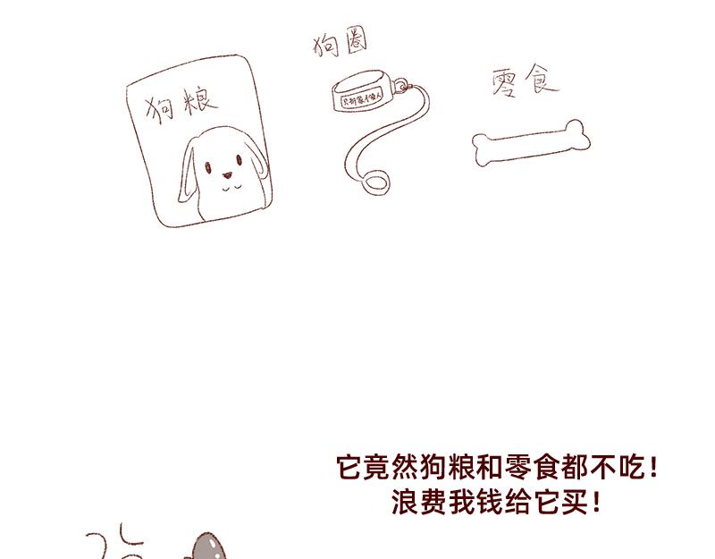 加零的漫畫日記 - 雙11我家來了條單身狗 - 3
