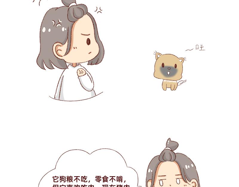 加零的漫畫日記 - 雙11我家來了條單身狗 - 4