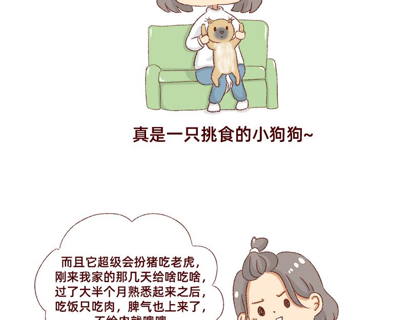 加零的漫画日记 - 双11我家来了条单身狗 - 6