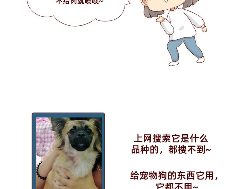 加零的漫畫日記 - 雙11我家來了條單身狗 - 1