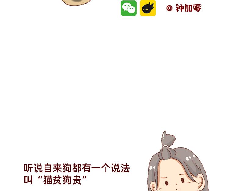 加零的漫畫日記 - 雙11我家來了條單身狗 - 2