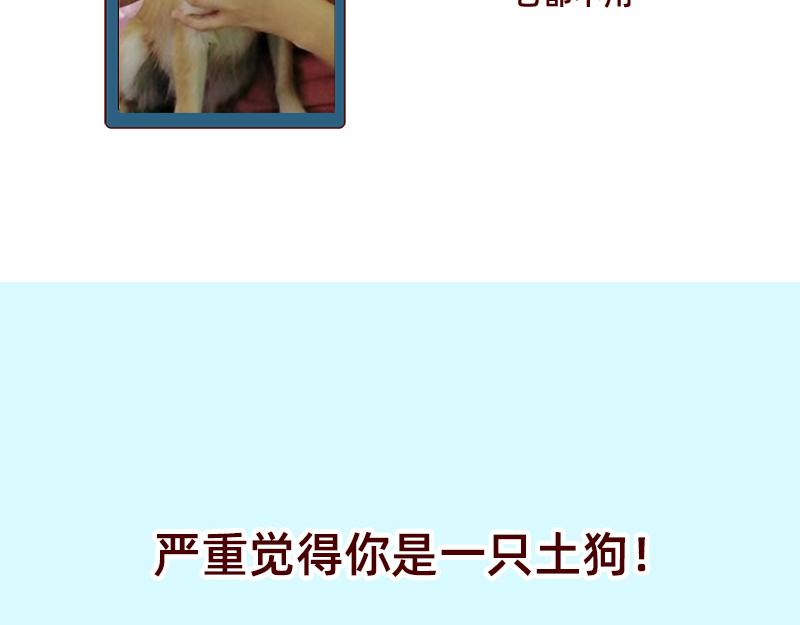 加零的漫畫日記 - 雙11我家來了條單身狗 - 2